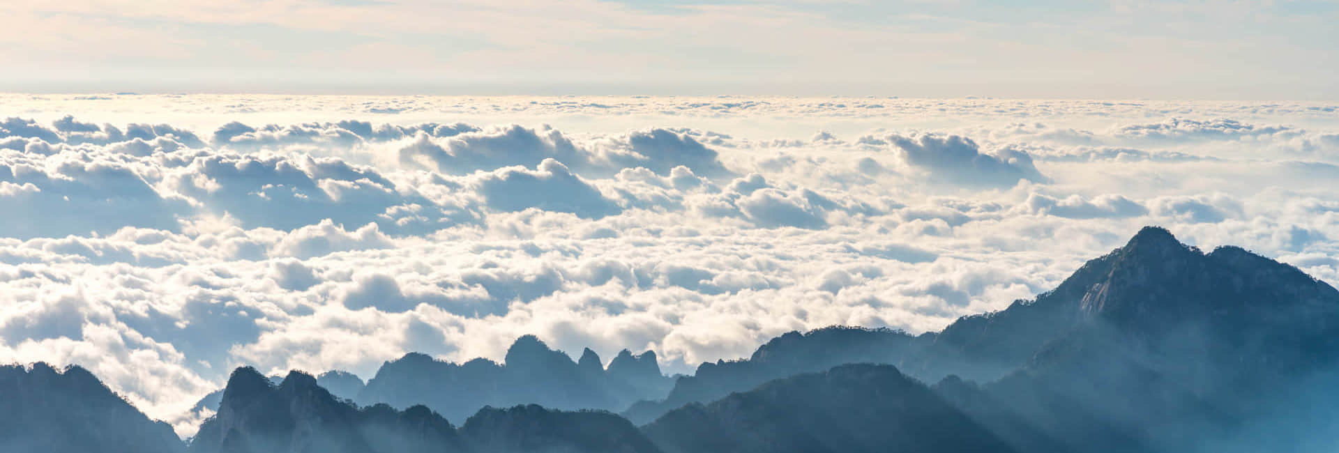 星空在线(中国)简介